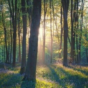 Meet your Posher, Yuliya